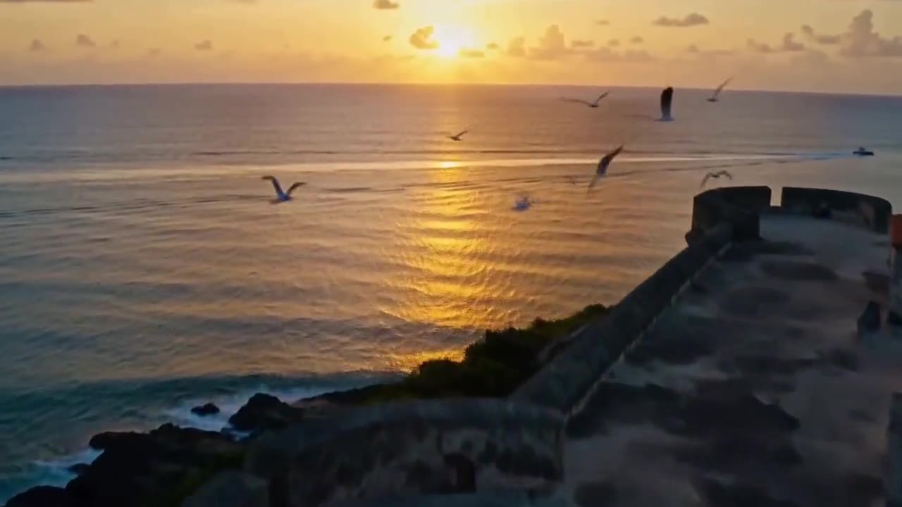 Amanecer sobre el Atlántico con gaviotas